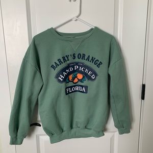 sage vintage style crewneck